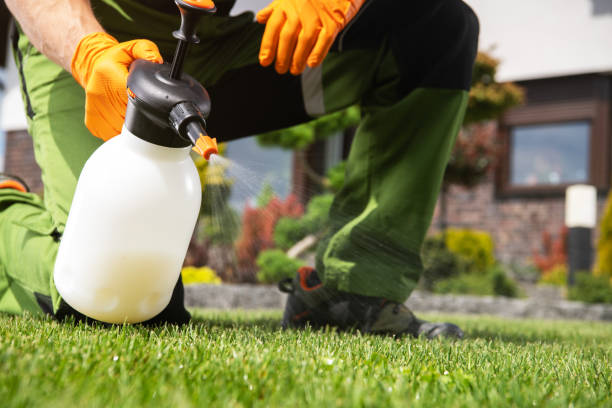 Best Insect Control  in Gretna, LA
