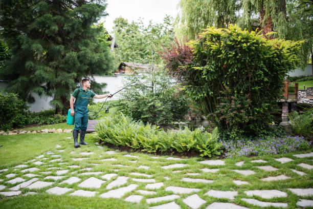 Best Residential Pest Control  in Gretna, LA